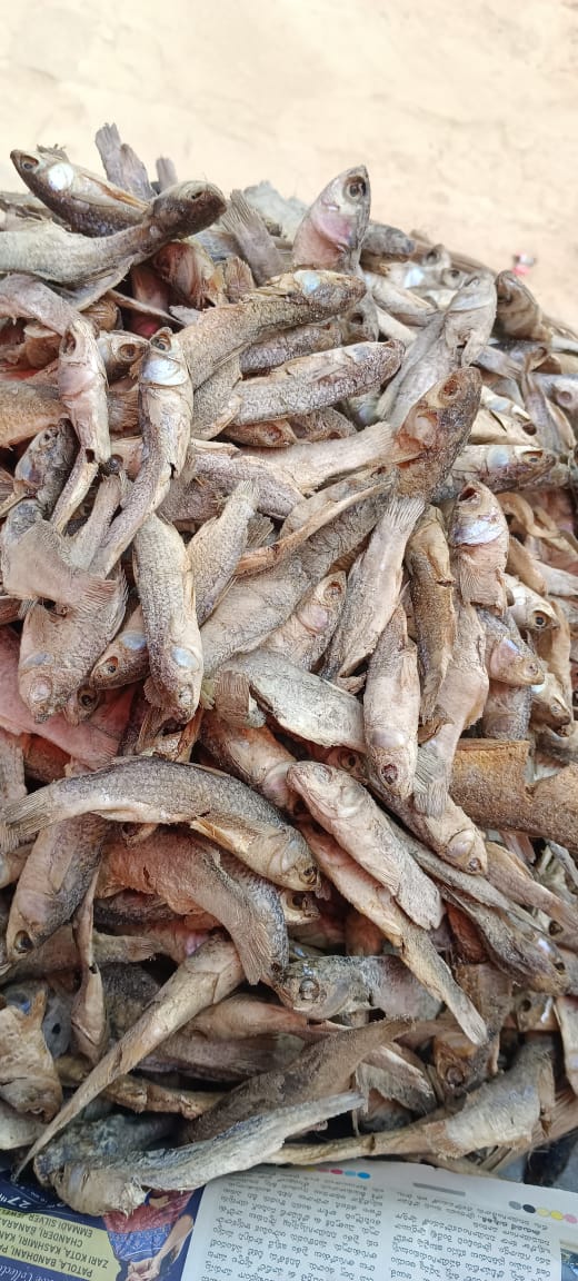 Katteparugulu Dry Fish